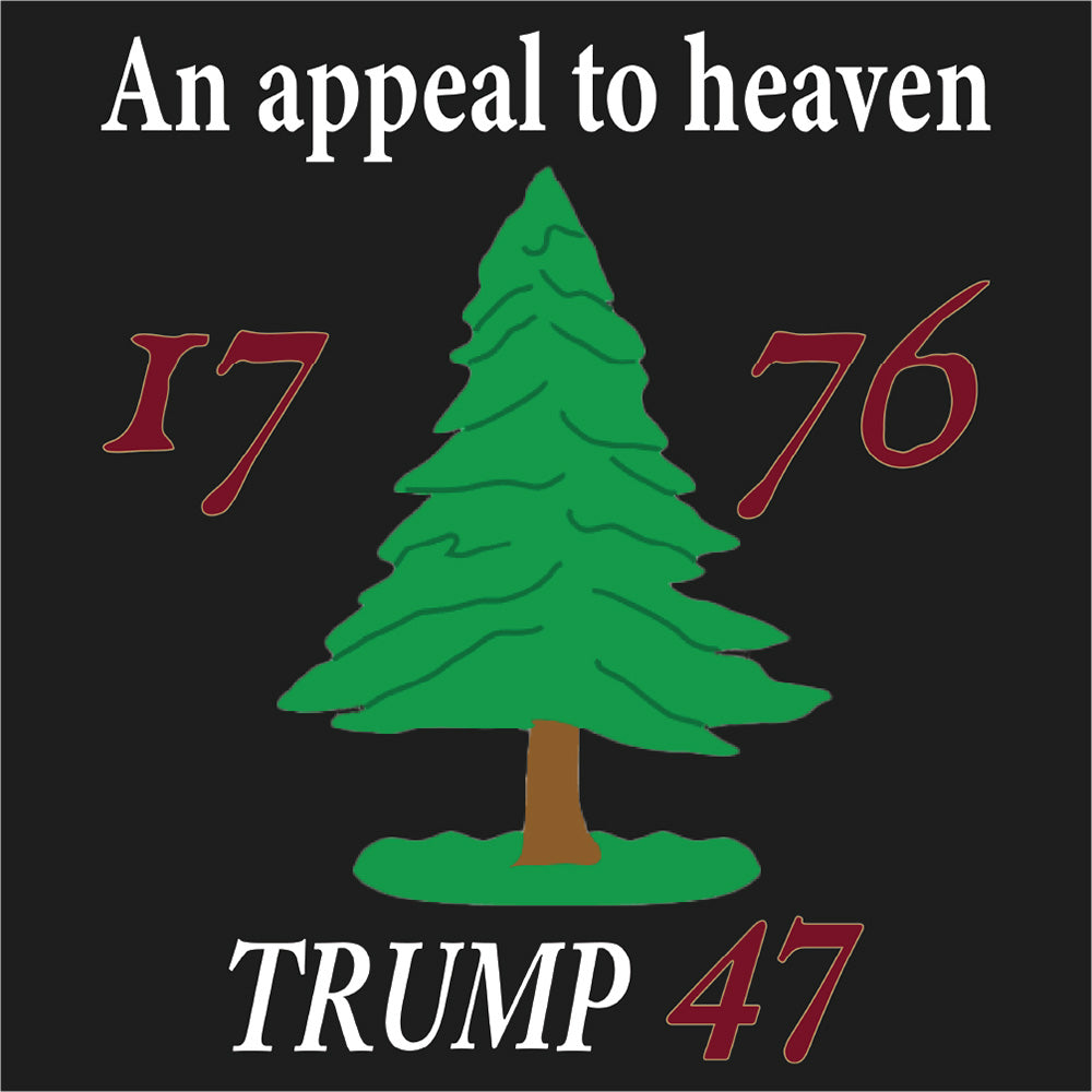 An Appeal to Heaven  Made in USA  Unisex t-shirt