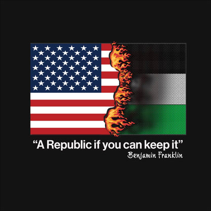 A Republic If You Can Keep It  Unisex t-shirt