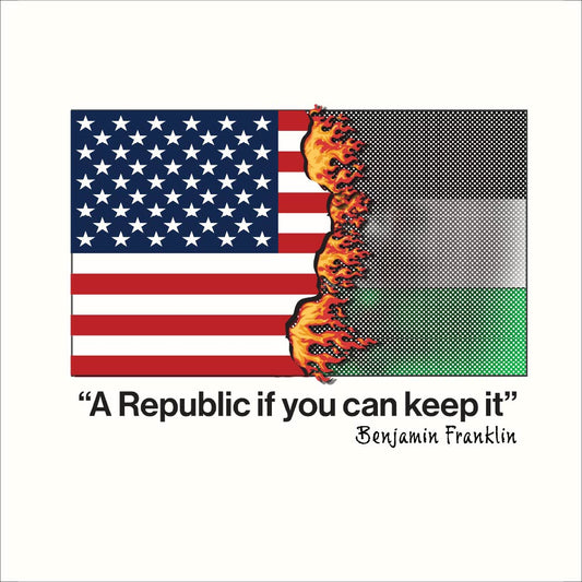 A Republic If You Can Keep It  Unisex t-shirt