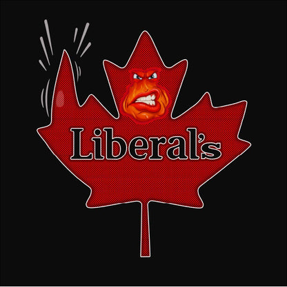 Forsake Liberals  Unisex t-shirt