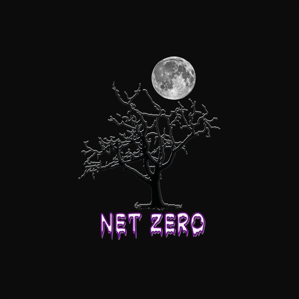 Net Zero  Unisex t-shirt
