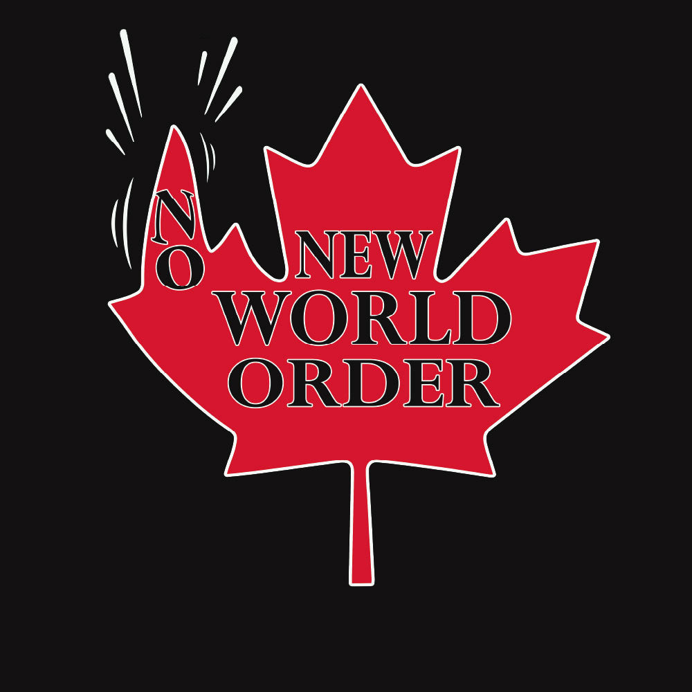No New World Order  Unisex classic tee