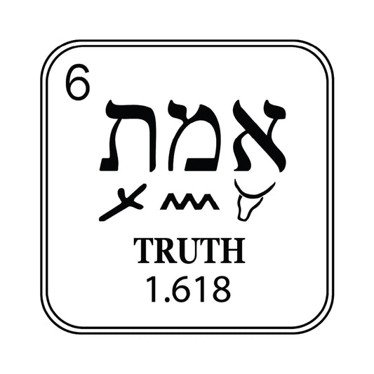Truth Element  Make in the USA Unisex t-shirt