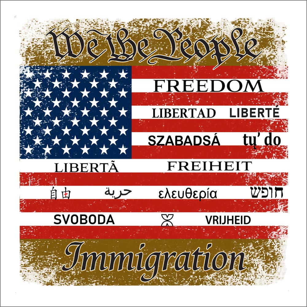 U.S. Freedom Flag  Unisex t-shirt