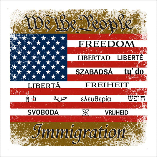 US FREEDOM FLAG  Unisex classic tee